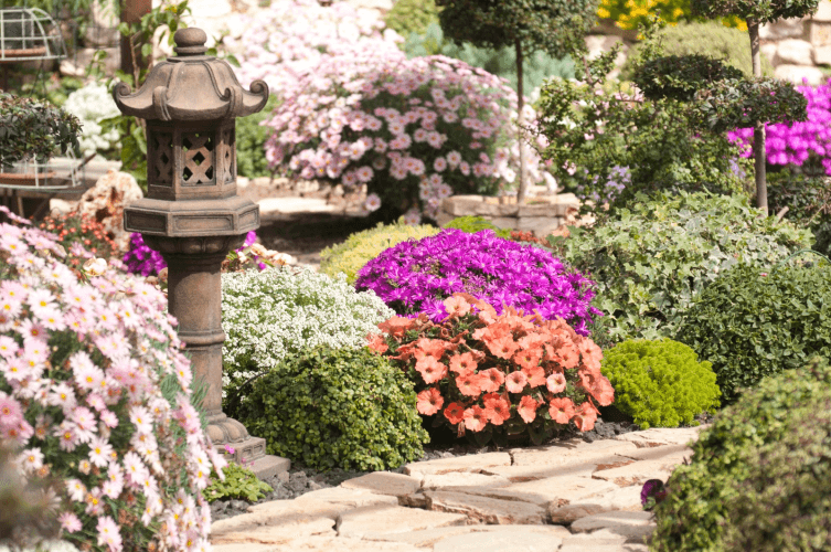 תכנון והקמת גינה